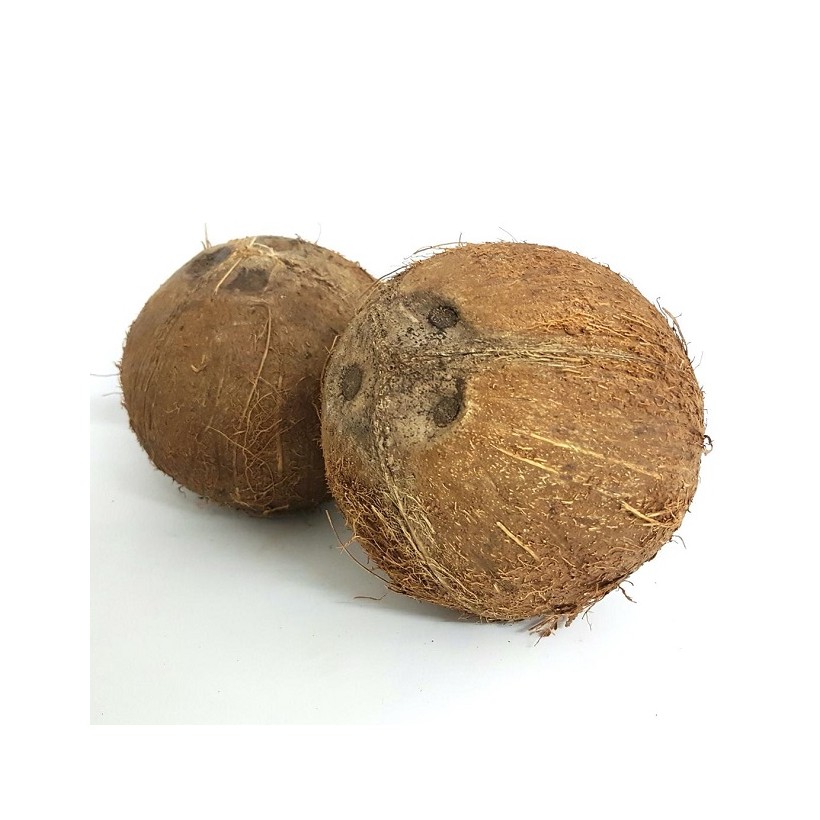 Noix de coco