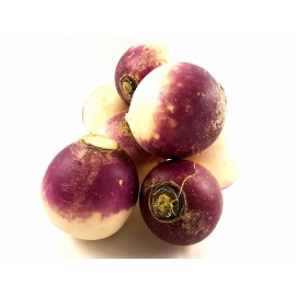 Navet rond violet