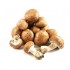 Champignons de Paris Bruns