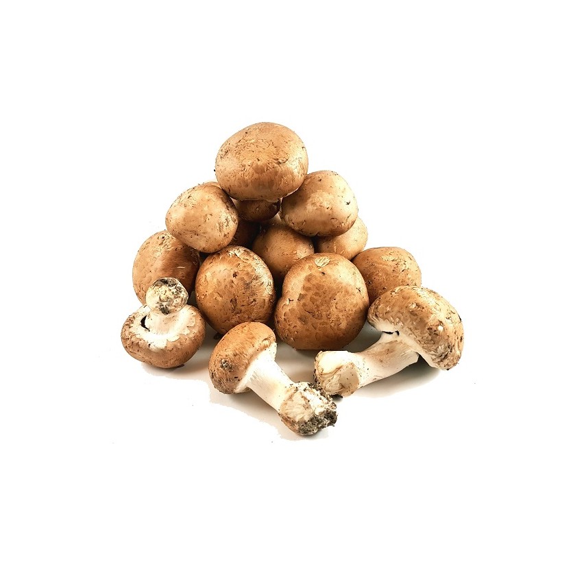 Champignons de Paris Bruns