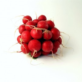 Radis rond rouge