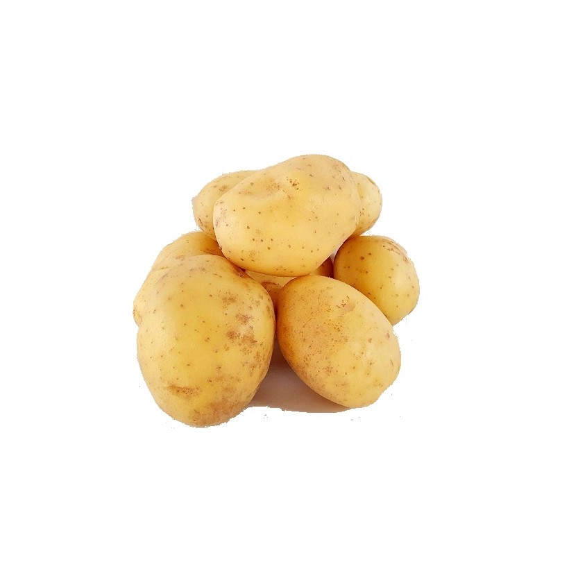 Pomme de terre Binje