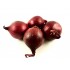 Oignon Rouge