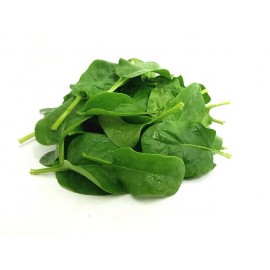 Jeune pousse d'épinards