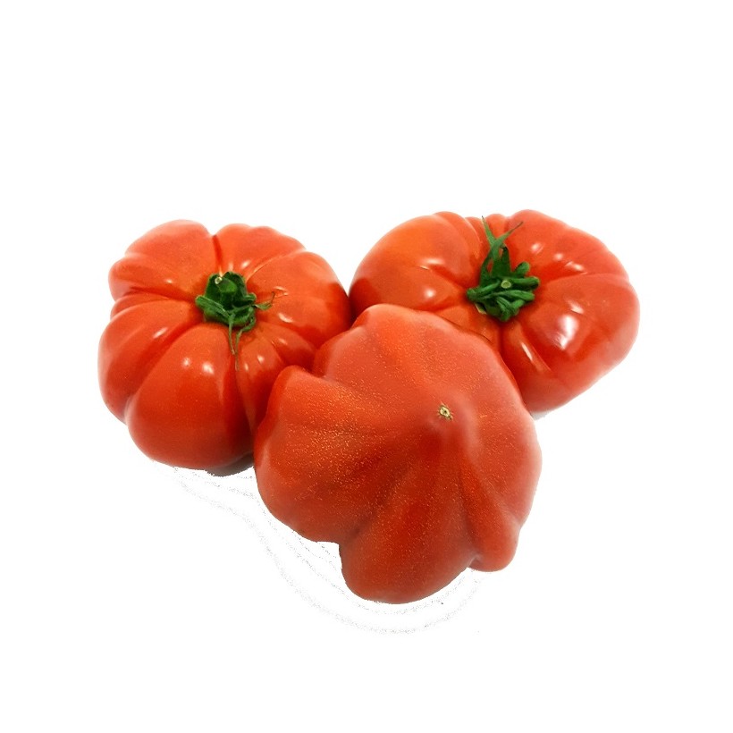Tomate Cœur de Bœuf