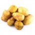 Pomme de terre nouvelle