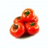 Tomate ronde
