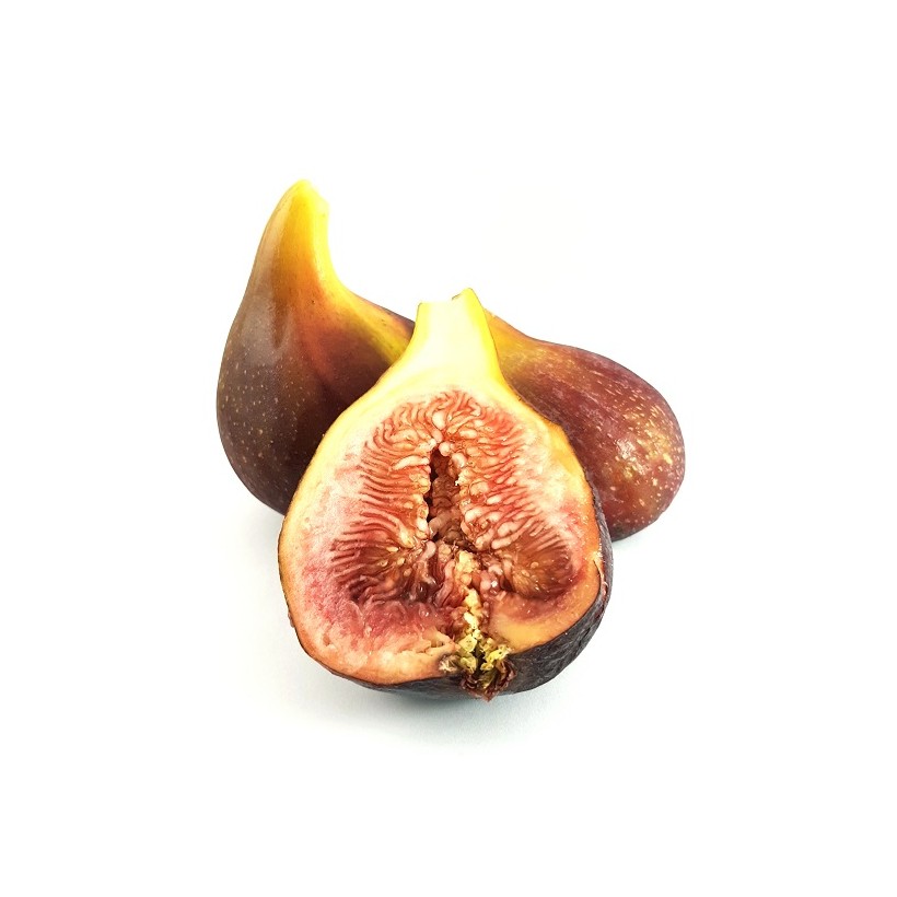 Figue violette