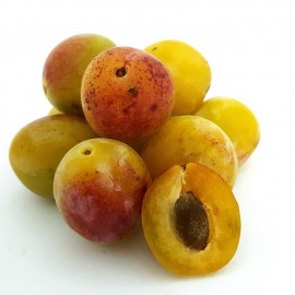 Mirabelle