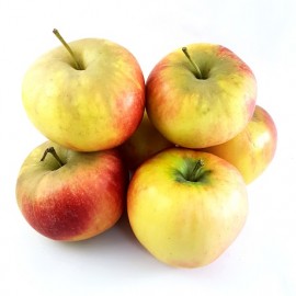 Pomme elstar