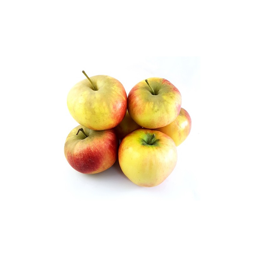Pomme elstar Pomme elstar