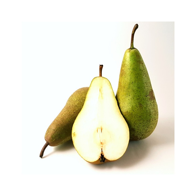 Poire conférence Poire conférence