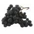 Raisin Muscat d'Hambourg