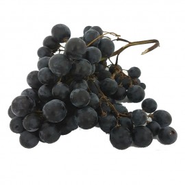 Raisin Muscat d'Hambourg