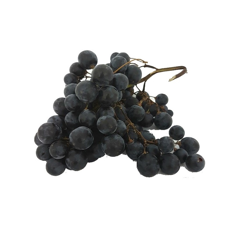 Raisin Muscat d'Hambourg Raisin Muscat d'Hambourg