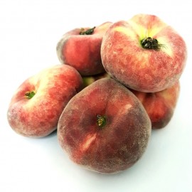 Pêche Plate