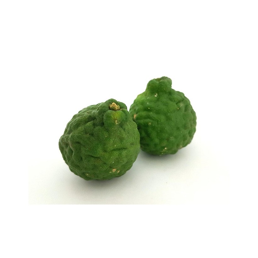 Combava Combava